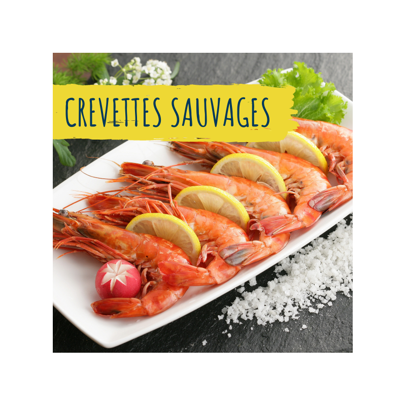 crevettes-sauvages-achat-fruits-de-mer-en-ligne