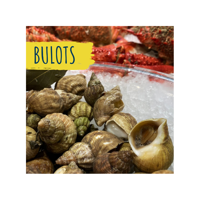 bulots-achat-fruits-de-mer-en-ligne bulots-achat-fruits-de-mer-en-ligne