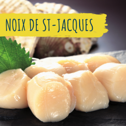noix-saint-jacques-achat-fruits-de-mer-en-ligne